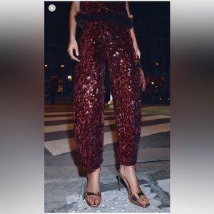 Zara Burgundy Sequin Cropped Pants/Top Set
Size small
